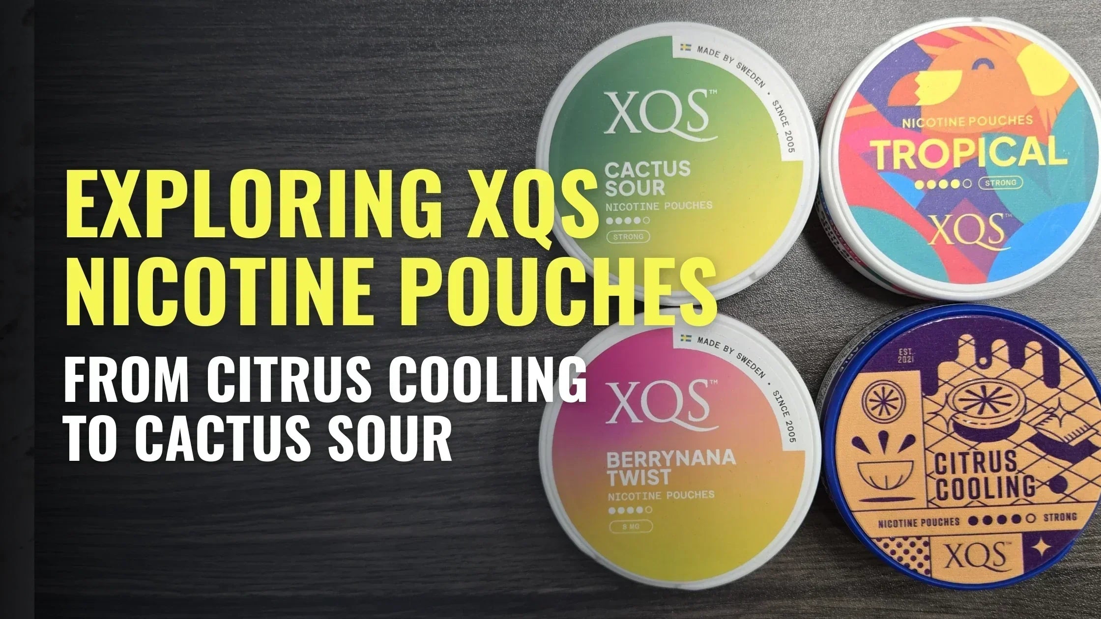 Exploring XQS Nicotine Pouches: From Citrus Cooling to Cactus Sour