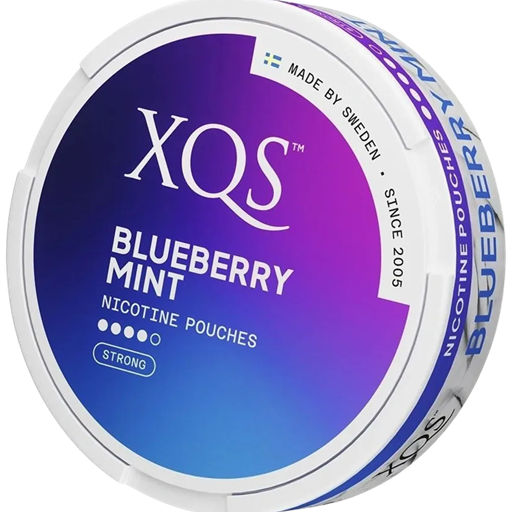 XQS Blueberry Mint - 8mg